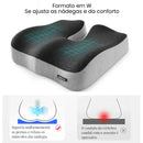 Encosto e Assento Para Apoio Lombar